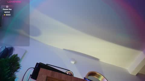 Damin online show from November 15, 8:27 am