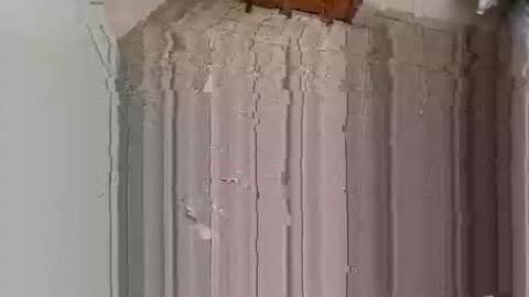 dickdragon2409 online show from December 22, 3:57 am