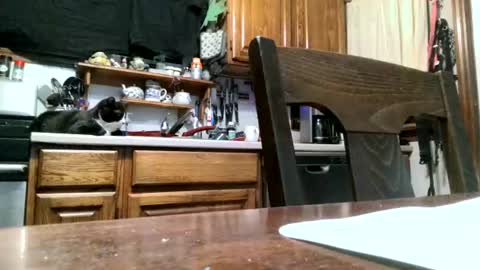 dickwack4u online show from August 6, 2:31 am