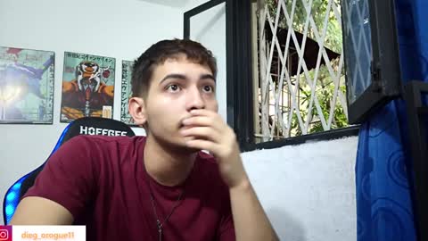 Snapshot of diegorogue_ chatting on February 8, 9:15 pm Diego rogue online show from February 8, 9:15 pm