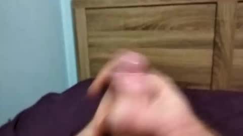 dingo_250 online show from September 30, 2:49 pm