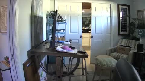 DirtkPitt Fun guy working online show from February 1, 6:40 pm