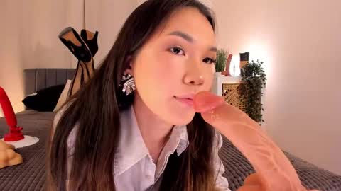 AKITA MEW MEW Follow  online show from November 19, 7:51 am