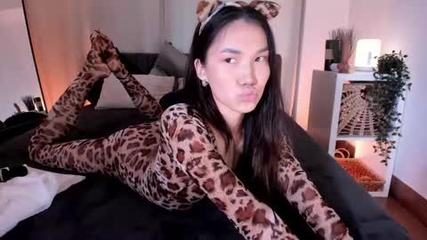 AKITA MEW MEW Follow  online show from October 20, 7:57 am