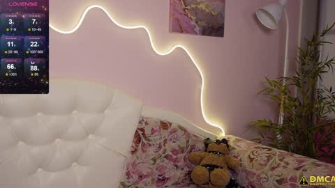 djokonda online show from February 8, 7:26 am