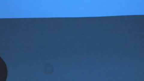 Dominick  online show from October 10, 7:03 am