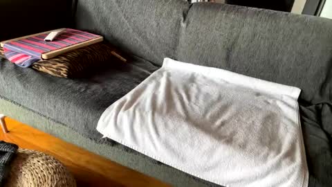 Alfredo online show from February 16, 9:07 am