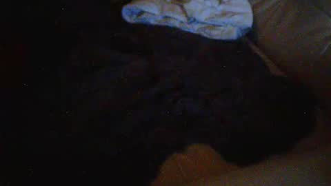 donosus online show from March 1, 12:20 pm