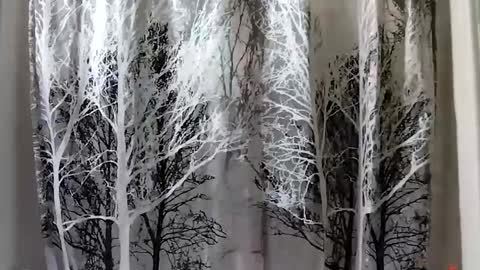 donschlongs online show from January 21, 8:00 pm