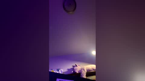 doodlez224472 online show from April 16, 1:55 pm