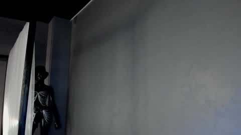 Dorothy Next stream on Monday at 3am-9am online show from March 6, 12:52 pm