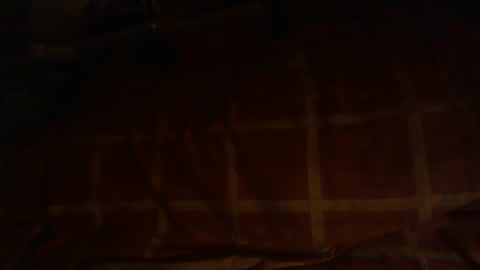 Snapshot of dorsetbiker714 chatting on January 27, 12:01 am Hello  welcome to Slutsville  I am the Naked Chef  really  but you may call me Peter online show from January 27, 12:01 am