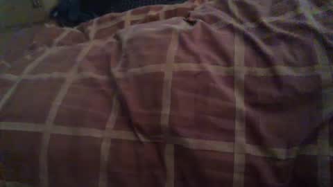 Snapshot of dorsetbiker714 chatting on October 26, 11:00 am Hello  welcome to Slutsville  I am the Naked Chef  really  but you may call me Peter online show from October 26, 11:00 am