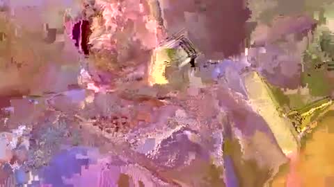 down2fuckyobitch online show from September 19, 4:16 am