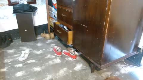 dreamreal online show from February 27, 11:58 am