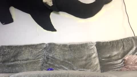 2xTheTrouble online show from February 8, 3:21 am