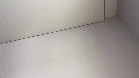 Bella online show from February 5, 3:55 am