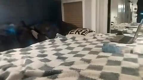 dtrain6969420 online show from April 23, 5:15 am