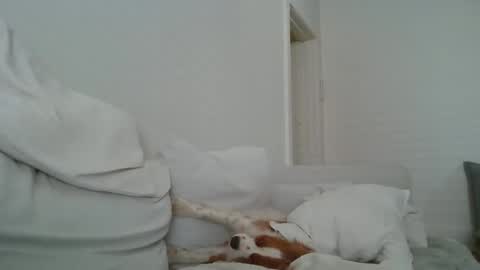 dustyroy09 online show from February 14, 1:45 am