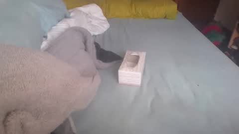 dv3nd3 online show from January 8, 12:22 pm