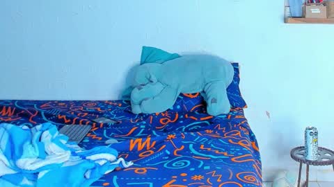 Dylan online show from February 20, 6:26 am