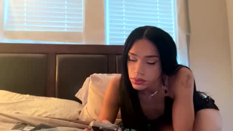 Dynasty online show from January 7, 8:03 pm