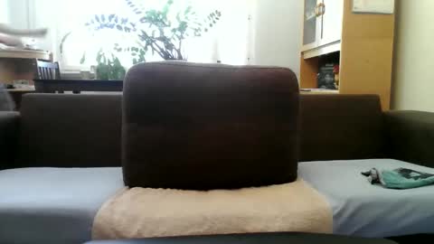 edgeplayer91 online show from February 22, 8:29 am