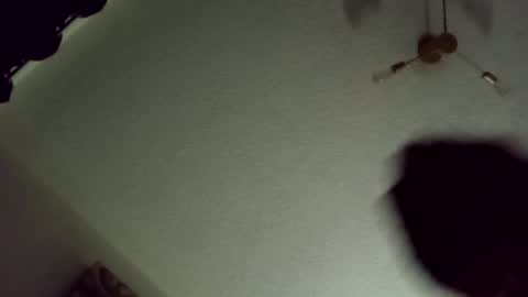 edioo online show from September 20, 11:02 am