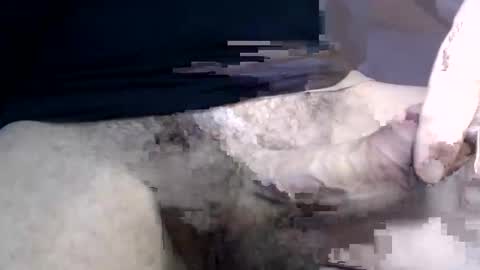 el gato lusty online show from January 30, 1:42 pm