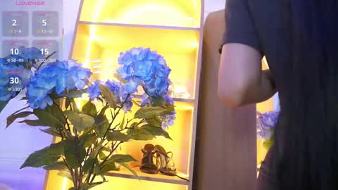 Elasummeer online show from November 25, 12:04 pm