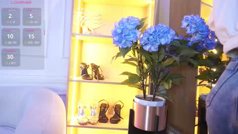 Elasummeer online show from November 17, 11:57 am