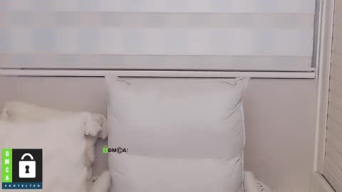 eleanore online show from December 15, 8:54 am