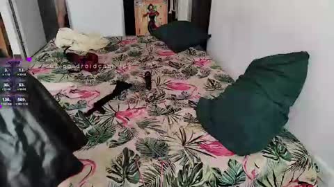 Elektra and Konan online show from August 3, 11:38 am
