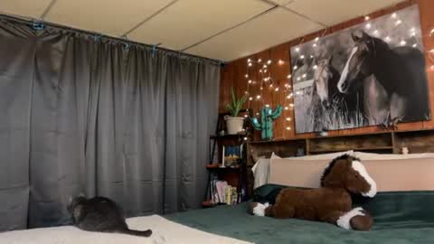 Ella online show from July 21, 1:24 pm