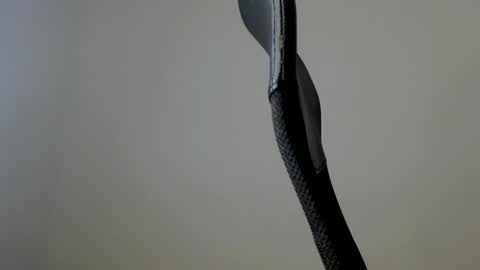 elosocazador online show from December 16, 8:37 pm