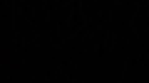 Snapshot of emberpheonixxx chatting on September 23, 12:48 am Ember Pheonixxx online show from September 23, 12:48 am