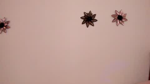 .  . online show from February 8, 6:33 pm