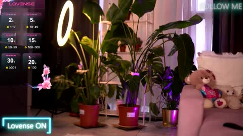 Emily online show from December 4, 6:24 am