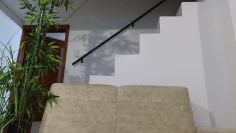 Emma Blue  modelo independiente online show from October 19, 4:39 am