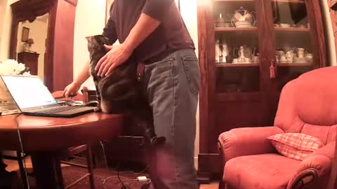 Steph et Eric online show from November 29, 8:38 pm