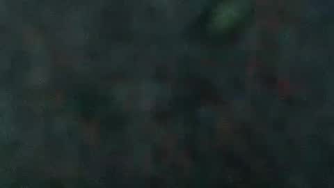 estelarseiya online show from February 5, 7:07 am