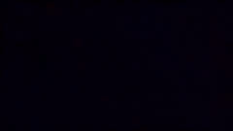 experttreecompany online show from February 27, 6:17 am