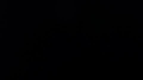 FallGays online show from December 10, 4:24 am