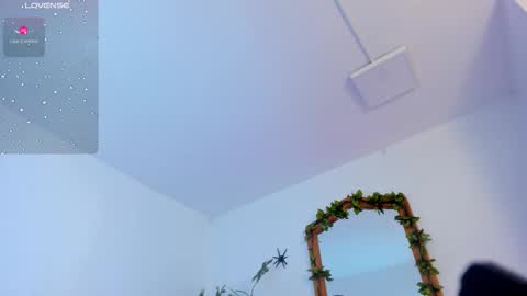 Faloon online show from November 7, 1:08 am