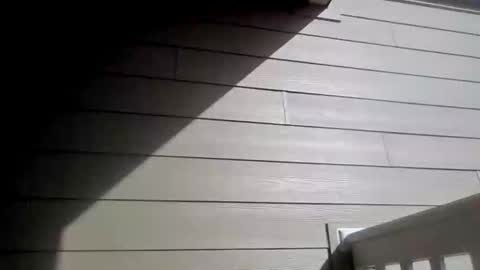 Caylenge online show from March 6, 9:58 pm