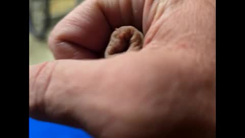 Snapshot of fartinmymouthplz chatting on October 11, 3:11 am fartinmymouthplz online show from October 11, 3:11 am