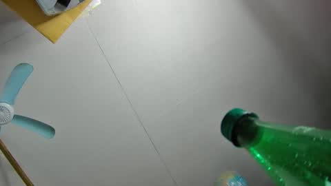 Snapshot of fatfreddythecat chatting on February 19, 12:25 am Fred. online show from February 19, 12:25 am