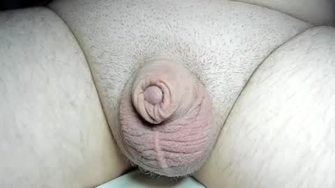 Fatmanscock online show from December 8, 4:11 am