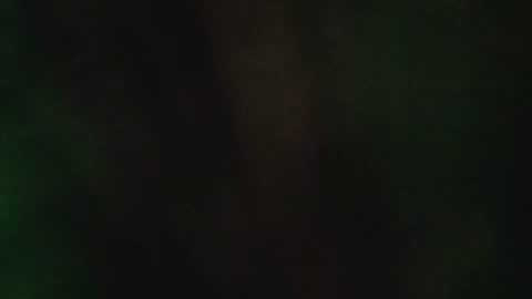 fauntzil online show from July 1, 11:13 pm