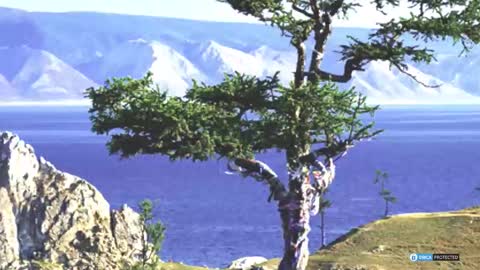 Daniani online show from February 4, 5:39 pm